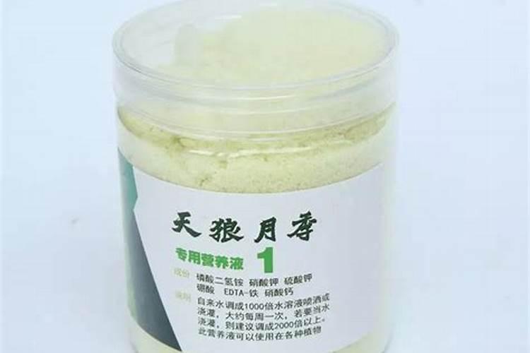 盆栽植物用什么施肥