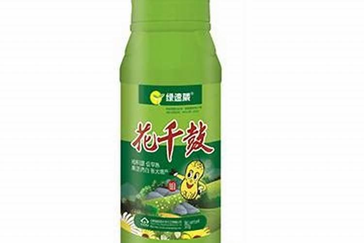 济南哪里批发花盆