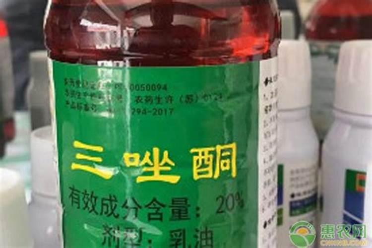 柚子树怎么施肥