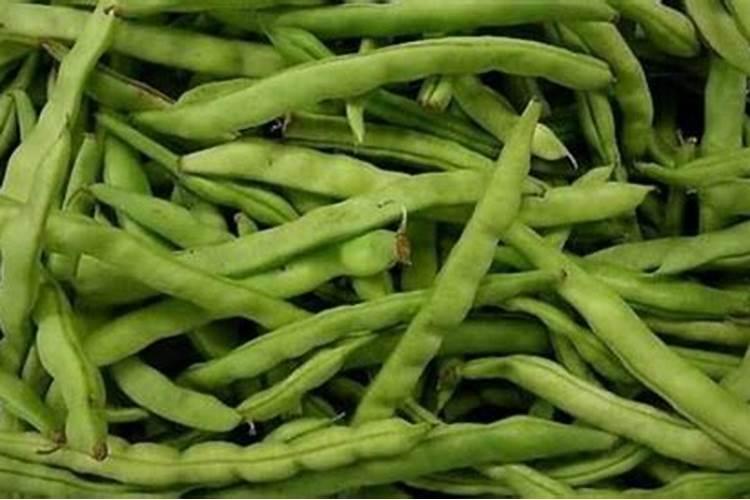 四季豆用什么肥料