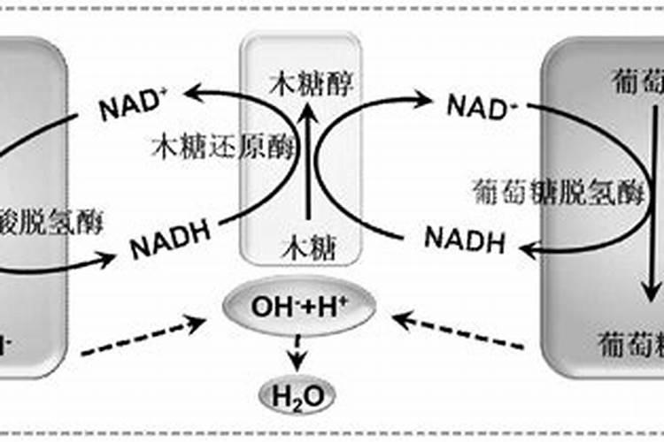 1克尿素要兑多少斤水浇花 (浇花使用尿素用量怎么配比)