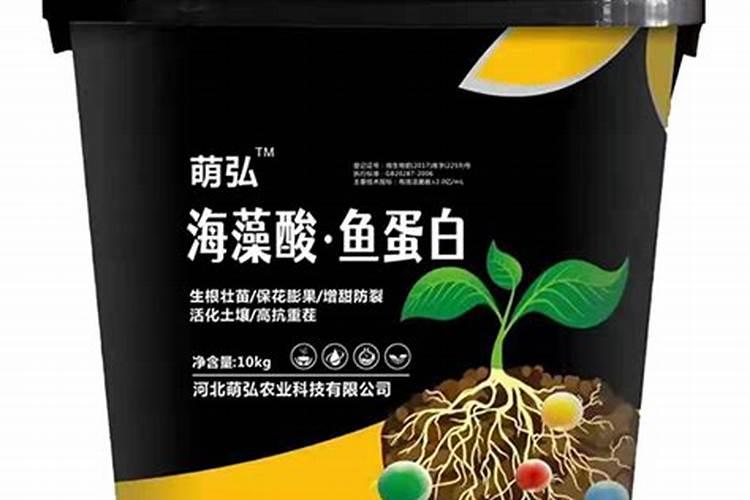 杨梅只开花不结果怎么办