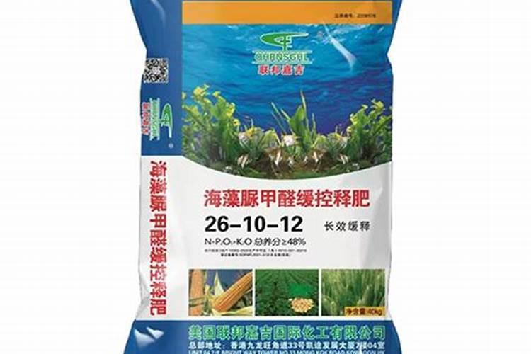 玉米用海藻失控肥效果