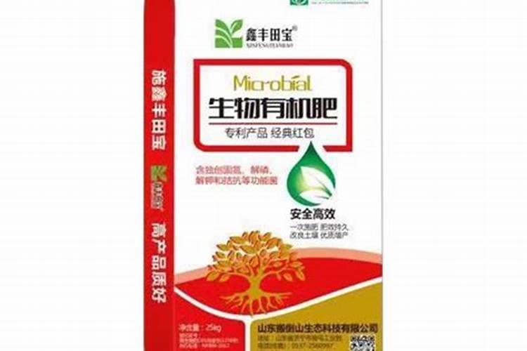 玉米得了粗缩病怎么治