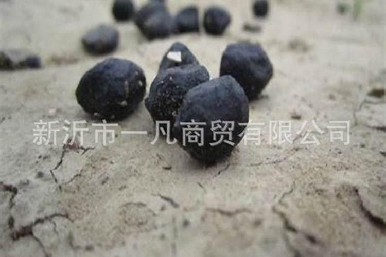 腐殖酸类肥料属于有机肥吗？怎么使用？有哪些注意事项？