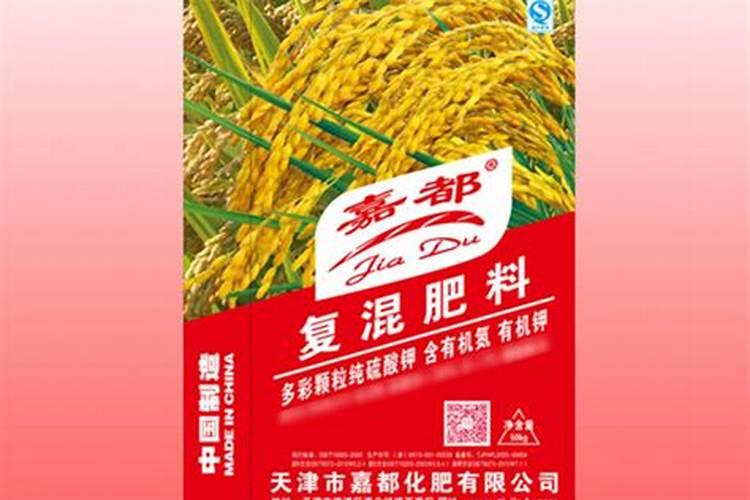 一些关于向日葵的种植方法
