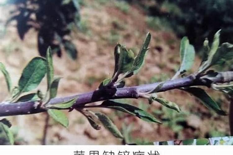 氟化钾溶液的配制
