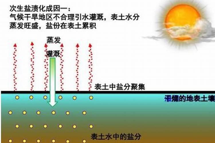 喷洒磷酸二氢钾能不能改变桔子的糖度？