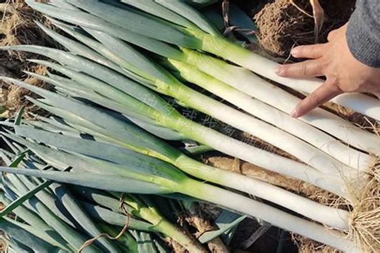 我是湖北菜农种辣淑30斤水兑磷酸二氢钾多少克