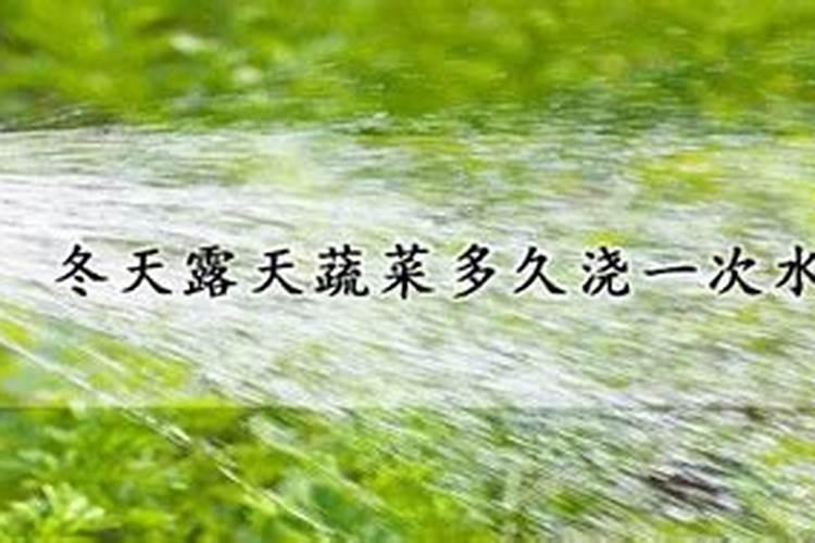 阳台小青菜多久施肥 阳台小青菜的施肥频率应该是多久？