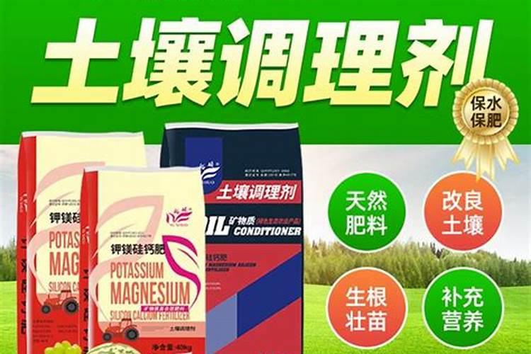 杨梅肉葱病是用什么杀菌剂