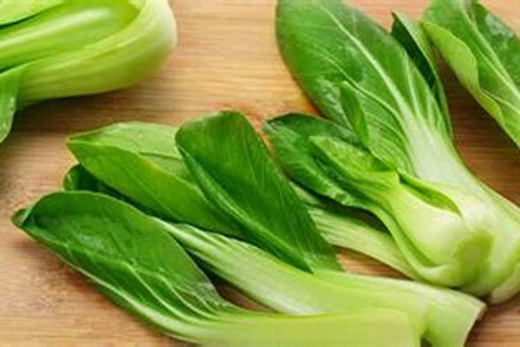松花菜缺硼肥什么现壮