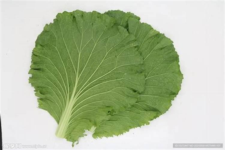 白菜追肥多久追一次 白菜多长时间追肥一次