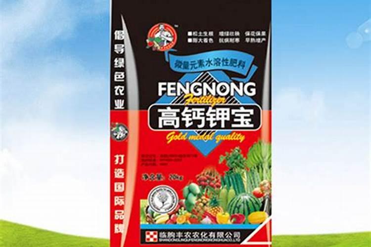 宜昌大红火龙果
