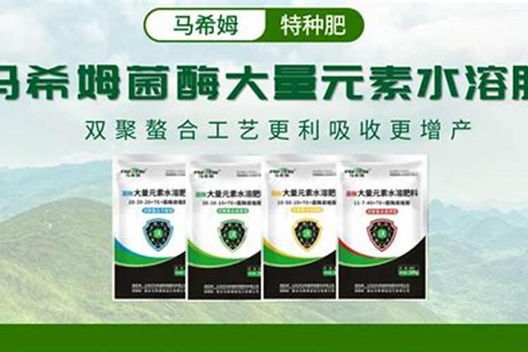 牡丹叶面肥打什么 喷肥注意事项