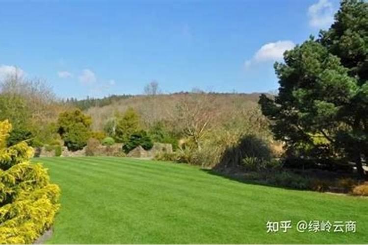 草坪复合肥一亩施多少