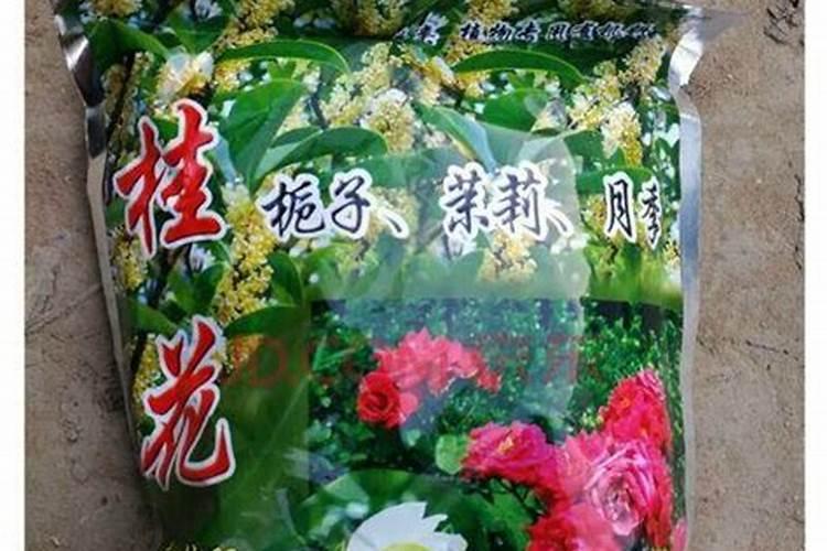 花肥沤制烘干方法(花肥制作)