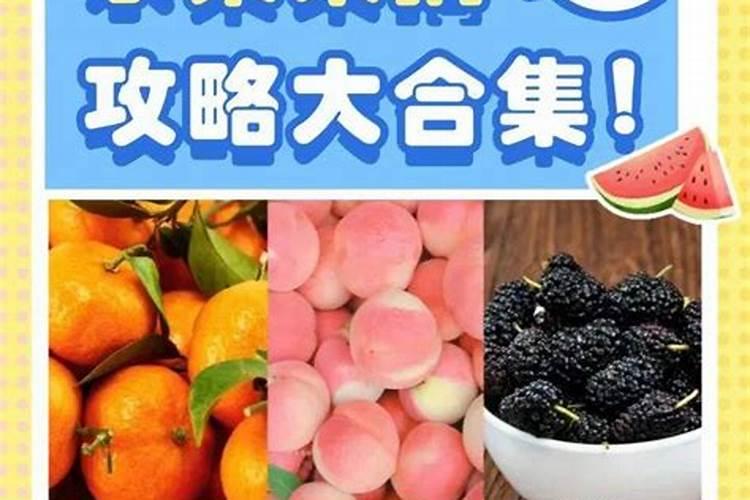 叶面肥厂家哪个做的最好？