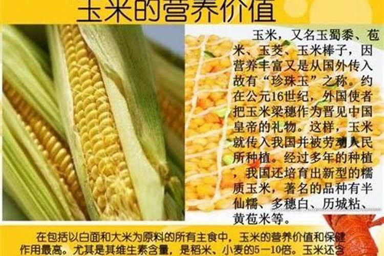 多肉用施肥吗？完全没必要施肥就是浪费不如换换花土