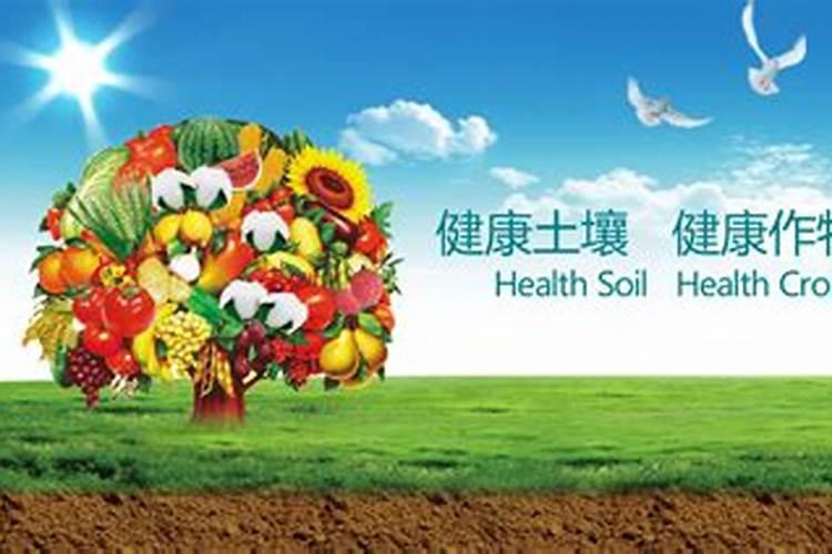 新疆大禹智慧集团怎么样啊