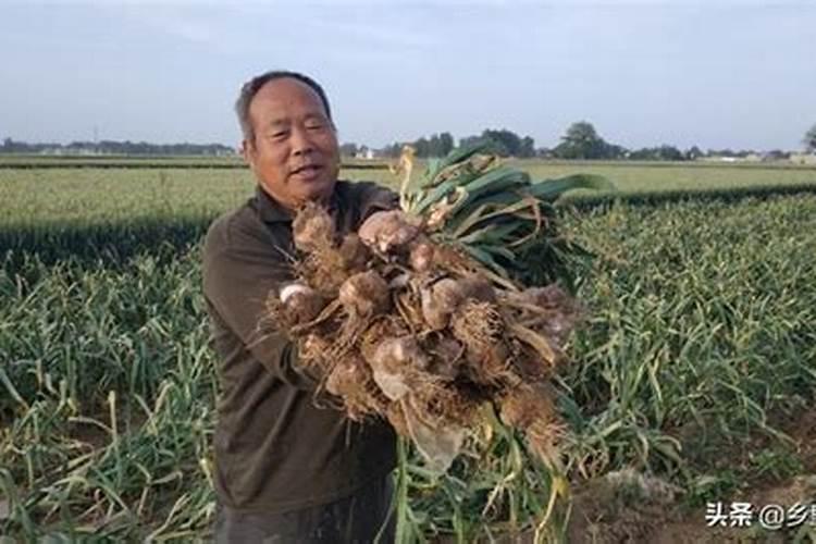 奥丰液体氮肥靠谱吗