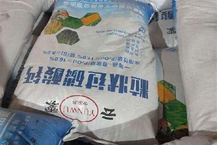 盆栽栀子花的养殖方法和注意事项