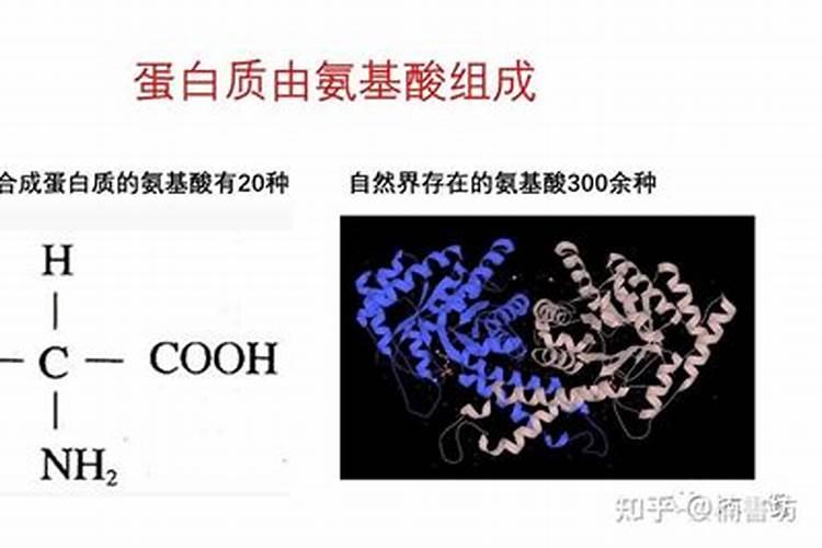 芍药花用什么肥料最好