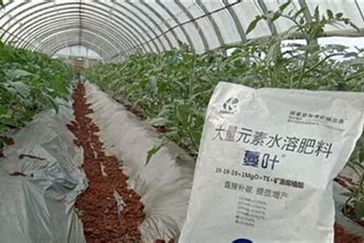 水溶肥是什么肥料怎样使用