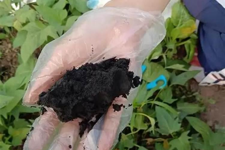 果树水溶肥的使用方法