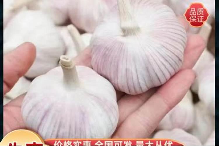 大蒜的施肥方法
