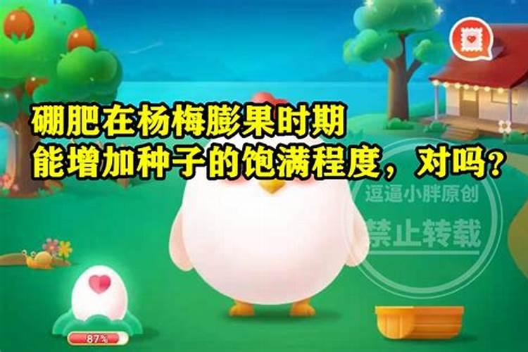 香春芽树怎样种植