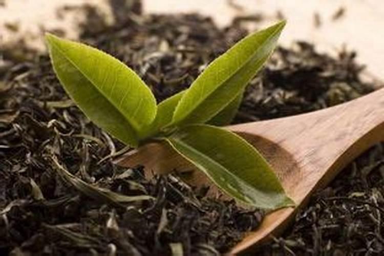 玉米幼苗喷芸苔素后果会怎样
