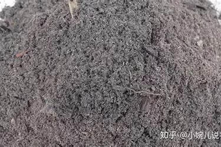 竹笋施肥用什么肥料