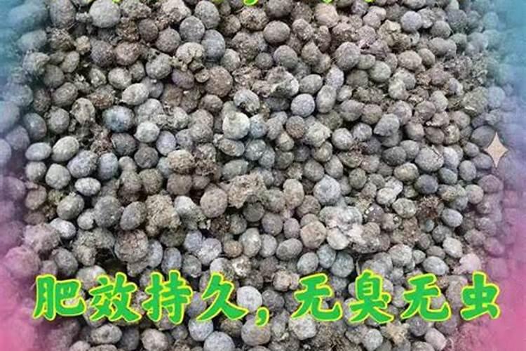 湿兔粪一吨哂干后有多少公斤