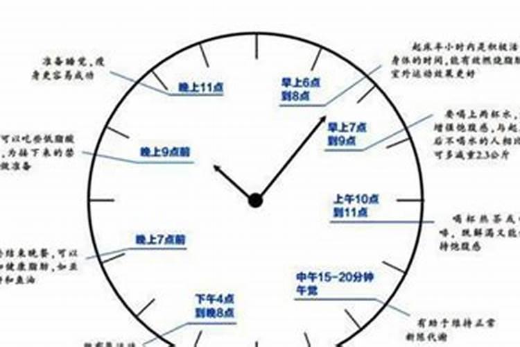 苹果树施钾肥正当时