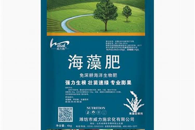 春天蒜苗都打什么药好