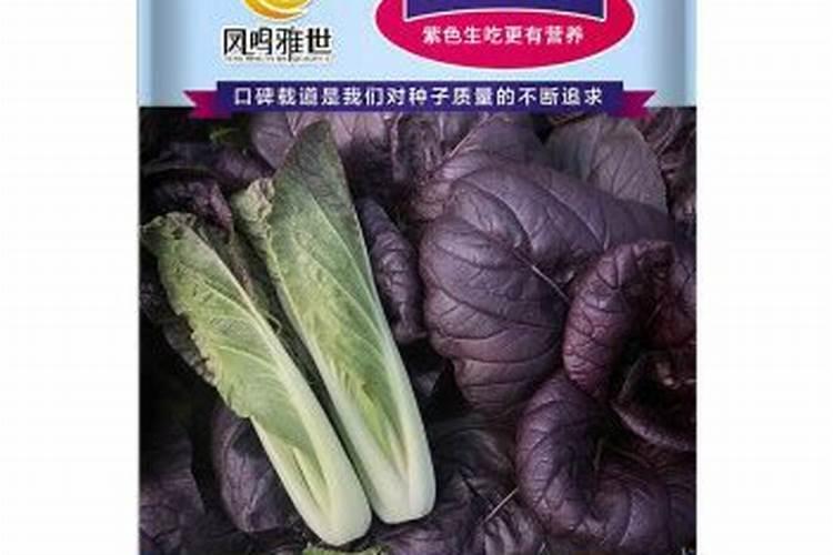油菜种植需要什么肥料