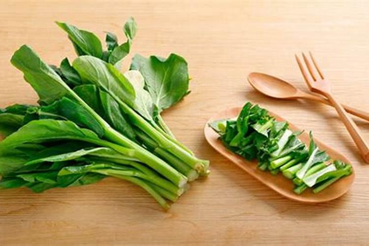 目前最好的秋白菜品种