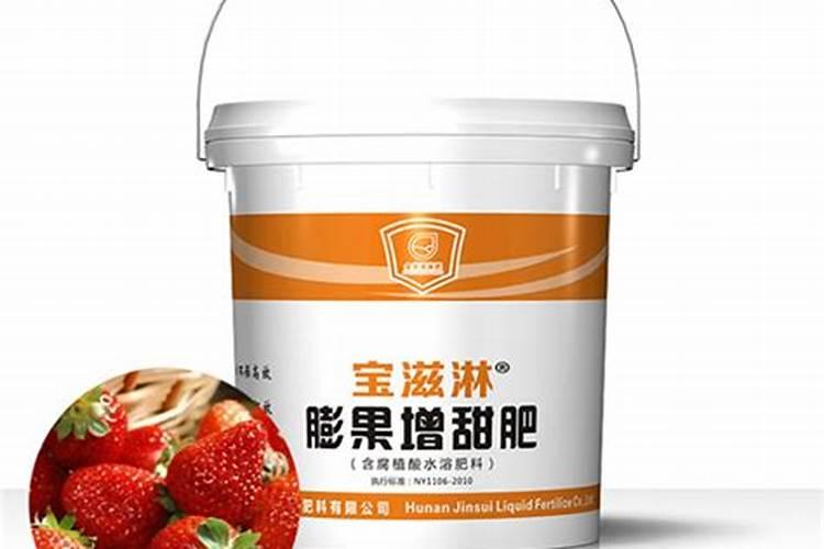 泥鳅水花怎么养