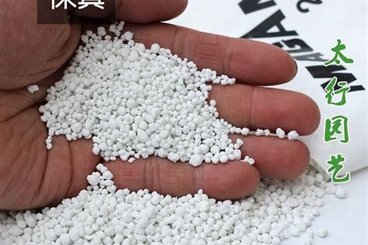 用青苔种兰花怎么施肥