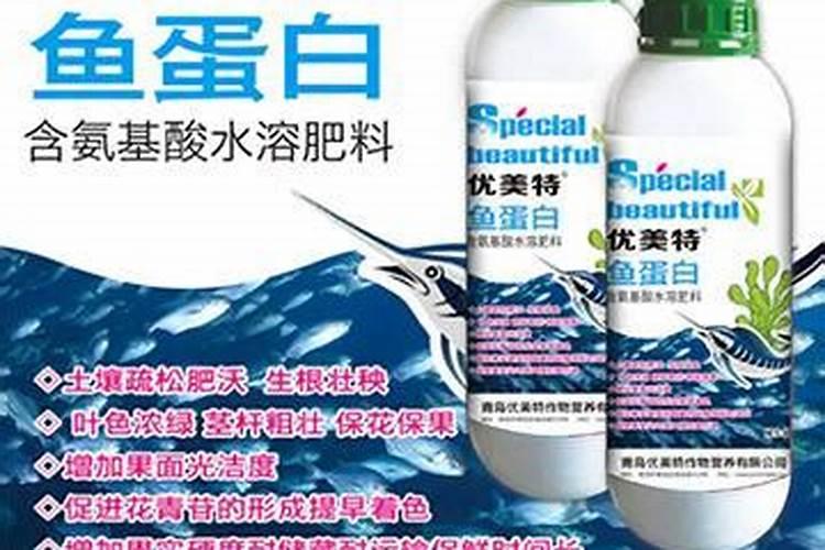 海洋鱼低聚肽粉的功效与作用