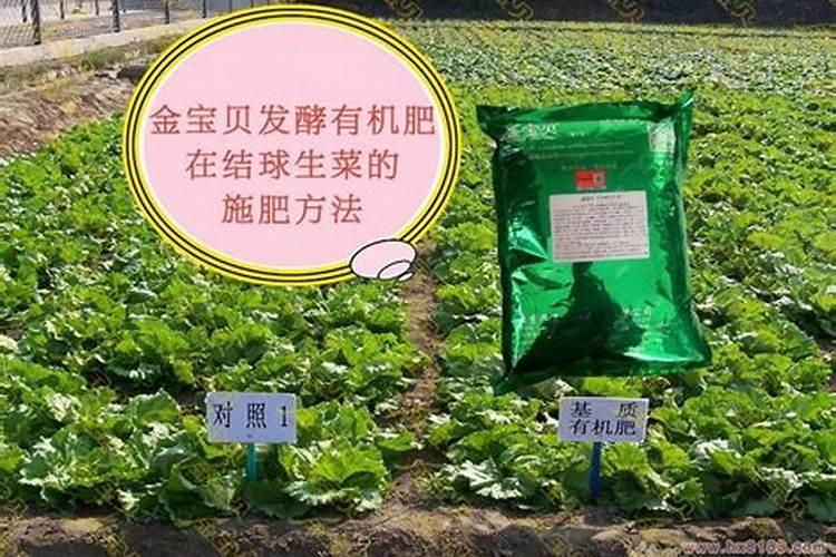 硝酸钙和硝酸铵钙哪个贵