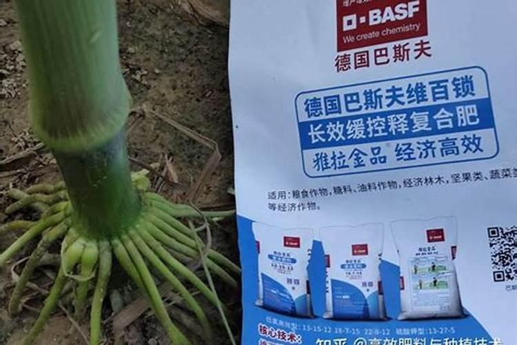 黄腐酸钾的主要成分是什么啊黄腐酸钾