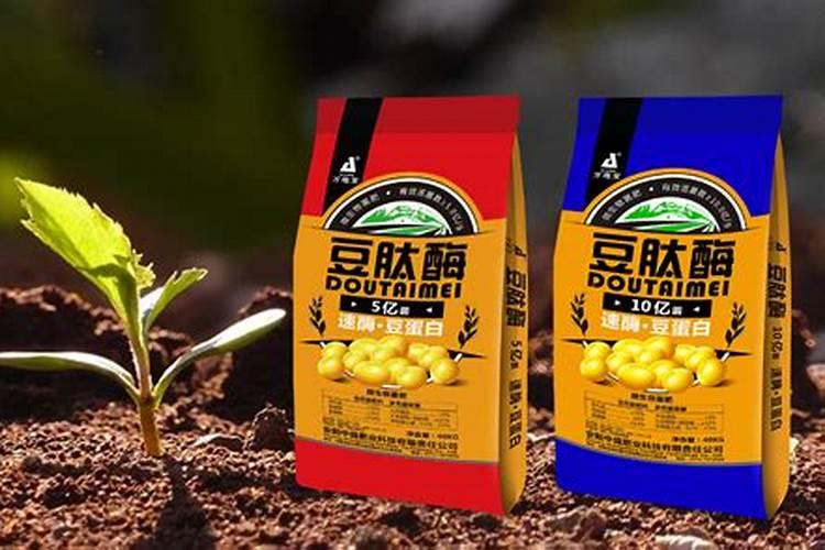 水溶肥和生物菌肥哪个前景好