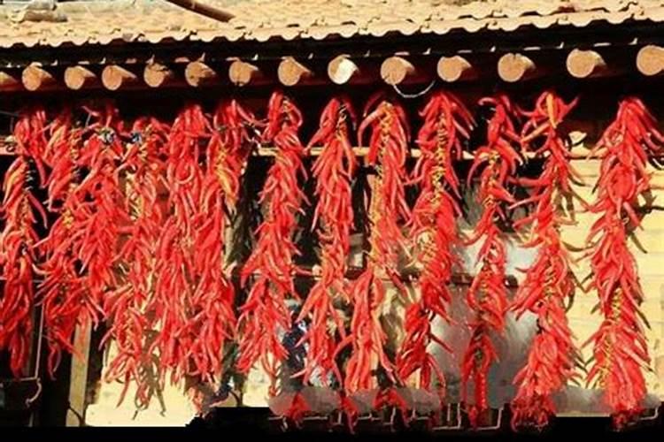 加大宝水溶肥辣椒专用是真的吗