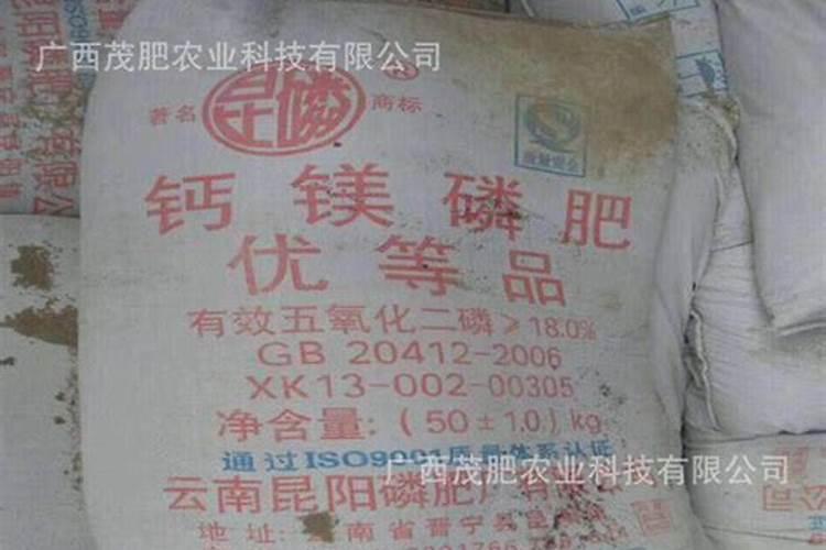 三角梅有刺无花怎么办？