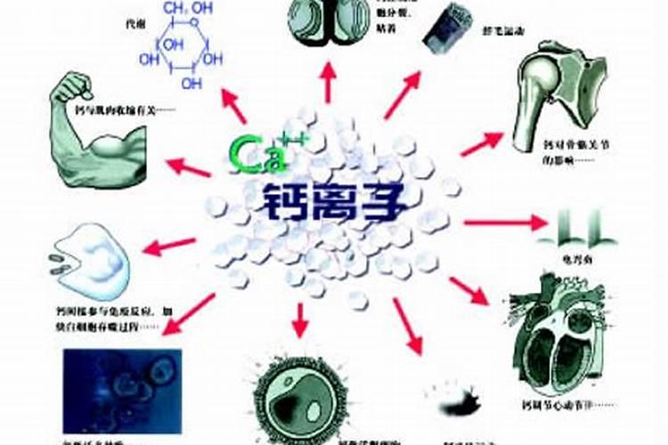 核桃皮能做肥料养花吗