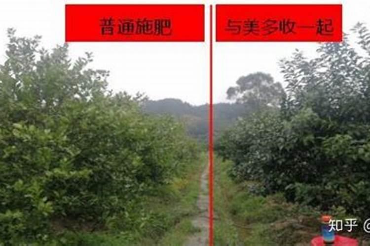 美滋乐公司介绍