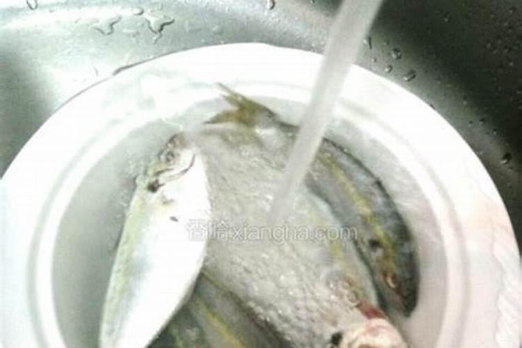鱼小肽叶面肥的用法