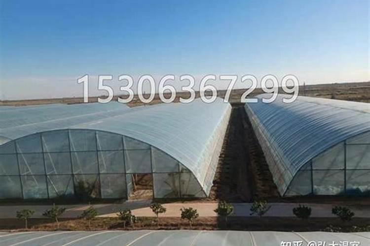 树苗施什么肥料什么时间施肥最好